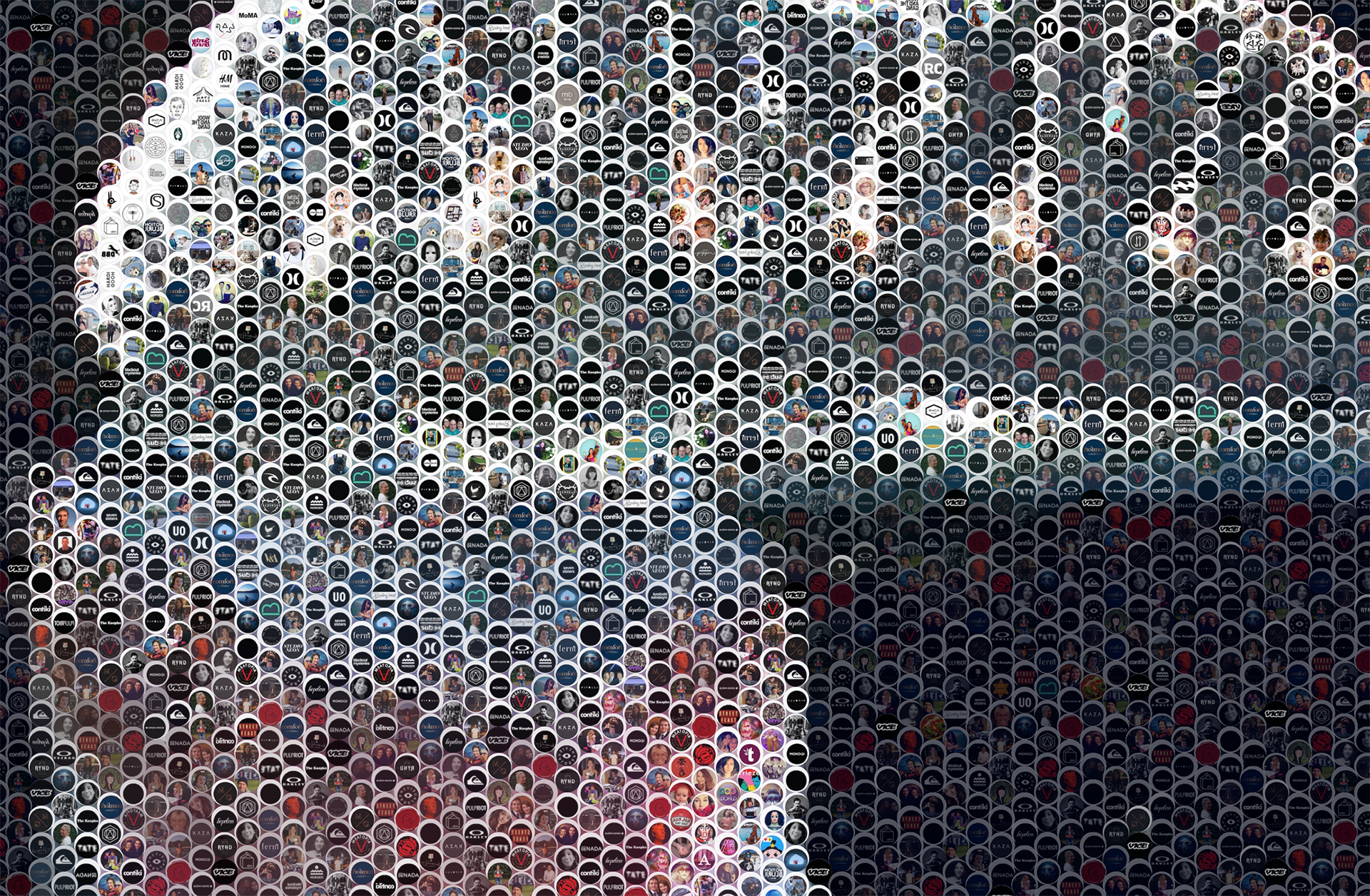 cropped image of a Portuguese man o war made out of Facebook profile pictures